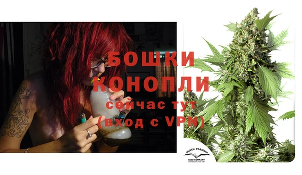 бутират Белокуриха