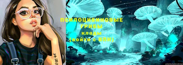 ешки Богородск