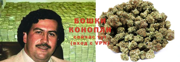 mdpv Богородицк